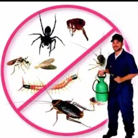 سمپاشی کافیه یک مرتبه سم پاشی مبارز را انتخاب کنید