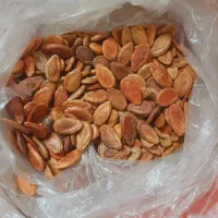 دانه هندوانه