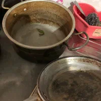 دیگ و ماهیتابه|ظروف پخت‌وپز|زاهدان, |دیوار