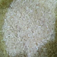 برنج نیمدانه