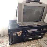 تلویزیون