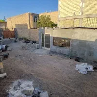 زمین ساختی دیزیچه