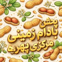 پخش بادام زمینی خرده و عمده