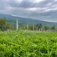 زمین مسکونی مناسب برای ساخت ویلا با ویو ابدی