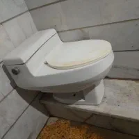 دستشویی فرنگی|لوازم سرویس بهداشتی|بندر ماهشهر, |دیوار