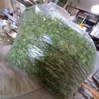 عرضه انواع خدمات آشپزی|خدمات پذیرایی، مراسم|سهند, |دیوار