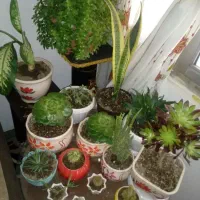 نیروی خوب برای نظافت