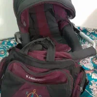 پشه بند