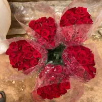 گل رز از هلند ایران ( محلات )