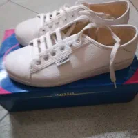 فروش کفش کتانی سفید ونس