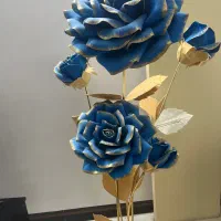 گل فومی کنار سالنی