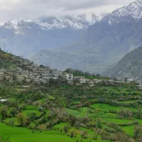 سرویس ایاب و ذهاب