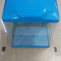 آکواریوم شرکتی خم سالم