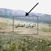 زمین۵۰۰ متری دیوار کشی شده همجوار امامزاده اسماعیل|فروش زمین و ملک کلنگی|فسا, |دیوار