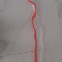 تور پیاز