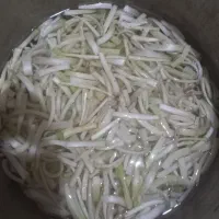 کنگر