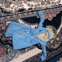 کاپشن اسپرت|لباس|بیستون, |دیوار