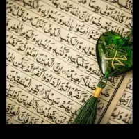 این فرصت رو از دست نده