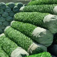 پخش چمن مصنوعی .فنس به قیمت کارخانه