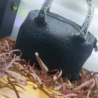 کیف و کفش مناسب|لباس|زابل, |دیوار