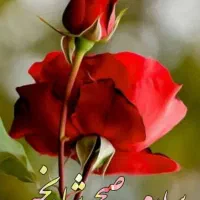 نظافت کار منزل