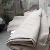موکت ظریف مصور|موکت|کرمانشاه, |دیوار