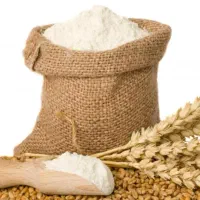 ارد گندم تازه