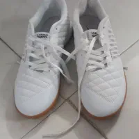 کفش نایک سالنی