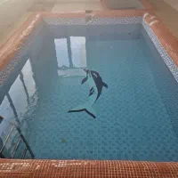 اجاره باغ ویلا استخر آبگرم (سرپوشیده)|اجارهٔ کوتاهمدت ویلا و باغ|شاندیز, |دیوار