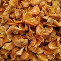 برگ‌زردالو