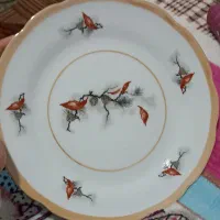 بشقاب چینی
