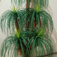 درختچه مصنوعی سالم