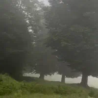 زمین مسکونی ۳۵۰ متر..روستای مازیاران