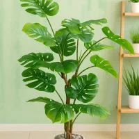 کنتیا و انجیری|گل مصنوعی|اصفهان, تخت فولاد|دیوار