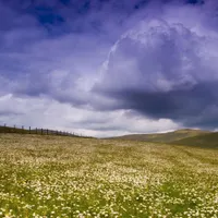هم خدمتی