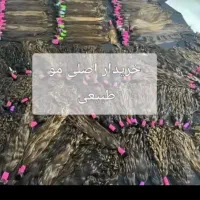 شعبه اصلی ومرکز خرید بدونه واسطه|خدمات آرایشگری و زیبایی|نورآباد, |دیوار