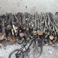 خرید انواع چوب