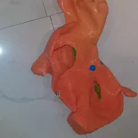 اسب بادی
