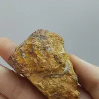 سنگ شجر دریایی