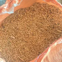 جو دو ردیفه ماهور