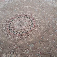 ۳ عدد فرش ۱۲ متری پاتریس ۵۰۰ شانه|فرش|گناباد, |دیوار