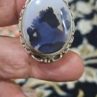 دوتاانگشترشجرزیباکلکسیونی