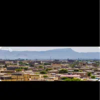 جذب نیرو و استخدام جهت برداشت میدانی