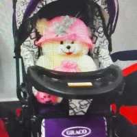 کالسکه دلیجان