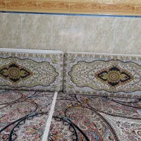 پشتی سالم