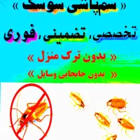 سمپاشی « سوسک »|خدمات نظافت|بندرعباس, |دیوار