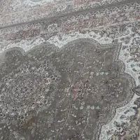 پشتی|پشتی|رشت, کوی جام جم|دیوار