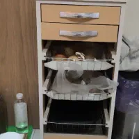 جاسیب زمینی و پیاز