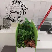 زاموفیلیا(اجرا کننده گل و گیاه سبزمصنوعی)|گل مصنوعی|تهران, بازار|دیوار