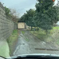 اجاره خونه باغ  دابو دشت دسترسی به شهر پنج دقیق|اجارهٔ خانه و ویلا|دابودشت, |دیوار